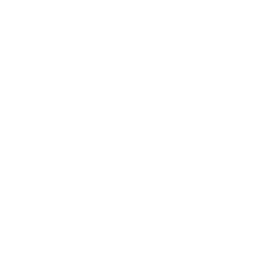 TTTech Auto Logo White (png)